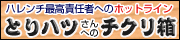 ハレ系最高責任者「とりハツ」へのホットライン